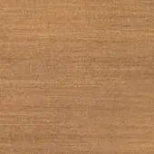Wood grain texture, op brushed brass tone, linear plank pattern with diffused reflections and a moderately coarse, warm finish.