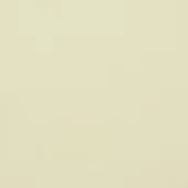 Pale ivory textured surface, granular matte finish, uniform color, diffuse lighting, material sample, neutral background, subtle tonal variation.