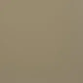 Matte surface, 400 mandorla color, muted earthy brown with gray undertones, smooth consistent texture, diffused even lighting, simple composition.