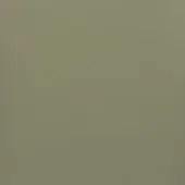 Solid color sample of muted earthy green, “801 salvia”, with consistent tone and subtle texture under diffused, even lighting.