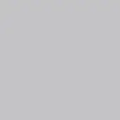 Cool light gray matte surface, uniform color swatch with no texture variation, evenly lit and diffused, identified as “grigio chiaro.”