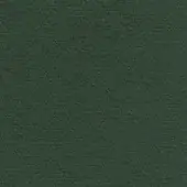 Forest green fabric sample with a matte, granular texture; woven material displaying a consistent color and subtle brushed quality.