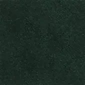 Forest green velvet fabric texture with a short pile and granular weave, displaying a consistent, muted color and diffused lighting.