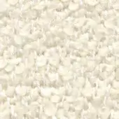Off-white boucle fabric texture, Bizzotto collection B1 – Yeti, dense woven knit with subtle creamy and beige yarn variations.