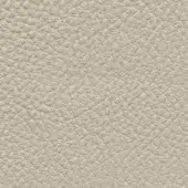 Light beige leather texture with a dense, pebbled grain and matte finish, displaying subtle creases and a consistent, durable surface.