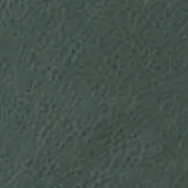 Dark green granular texture with tonal variations, displaying an uneven, mottled pattern across the frame; resembles distressed fabric.