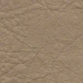 Distressed leather texture, light beige, with irregular wrinkles and matte finish displaying natural grain and wear patterns for seamless application.