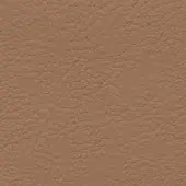 Brown leather texture with a pebbled grain, displaying tonal variations and a consistent, mottled surface; full-grain appearance.