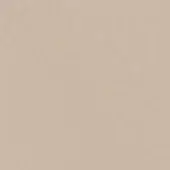 Beige texture sample, smooth matte surface, consistent neutral tone, diffused even lighting, uniform color, background element, solid fill.
