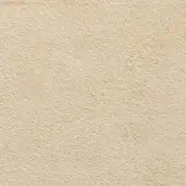 Light beige granular texture with a matte finish, displaying subtle tonal variations and a slightly mottled, uneven surface composition.