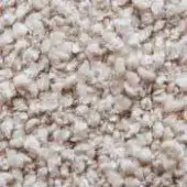 Raw oat groats, light beige color, irregular texture with ridges and crevices, densely packed organic material, natural variations in tone.