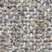 Shell collection, beige and gray tones, densely packed granular texture with iridescent sheen and varied, elongated forms.