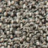 Dense collection of beige and brown seeds with greenish hues, rough granular texture, and faint "formitalia" text visible.