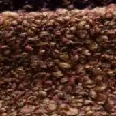 Dried seed pods texture, reddish-brown and tan tones, dense granular pile with varied shapes and diffused lighting.