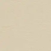 Beige textured surface with granular pattern, warm neutral tone, and matte finish, displaying subtle tonal variations and even lighting.