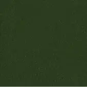 Green textured surface resembling woven fabric, granular detail, muted tone, even lighting, identified as formitalia cuoio leather.