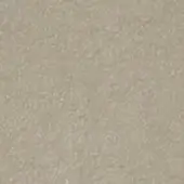 Granular light beige texture, finely ground powder with even distribution, subtle tonal variations, and a matte finish.