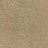 Taupe mottled texture sample displaying granular, uneven surface with imprinted “formitalia > daino > mud” text, matte finish.