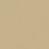 Beige granular texture, consistent warm tone, even lighting, subtle surface roughness, suitable for backgrounds or design elements.