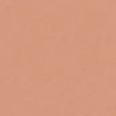 Tanned leather texture, coriander color, pebbled grain with irregular creases, matte finish, realistic appearance, durable quality.