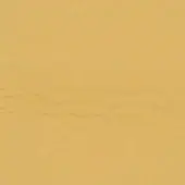 Textured yellow wall with matte finish, granular surface, and subtle horizontal striations, evenly lit with diffused light and minimal shadows.
