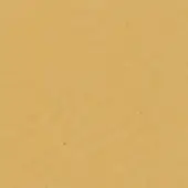 Pale gold textured surface with subtle repeating indentations, resembling tanned leather; uniform finish, diffuse lighting, studio setting.