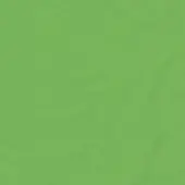 Textured green background with crumpled paper effect, displaying muted medium-green tones and irregular creases in a diffused, even light.