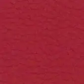 Deep red leather texture with granular surface, displaying a saturated crimson color and even diffused lighting, presented as a material sample.