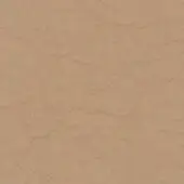 Light beige textured surface with mottled pattern, irregular lines, and raised circular details; matte, warm neutral tone.