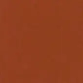 Muted orange textured surface with granular pattern, matte finish, and subtle irregularities throughout, displaying a warm earthy tone.