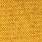 Golden-yellow granular texture composed of tightly packed circular forms, exhibiting subtle hue variations and diffused, even lighting.