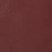 Formitalia Kyoto Castoro leather texture sample, reddish-brown with granular surface and muted terracotta tone, diffused lighting.