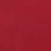 Rosso Antico textured surface, granular red plaster, consistent color with subtle tonal shifts and a fine, unevenly applied quality.