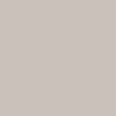 Grayish-beige matte surface, uniform color, flat composition, diffused lighting, potential “oyster 2002” lacquer swatch, smooth visual field.