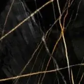 Sahara Noir marble texture with polished finish, featuring irregular golden-yellow veins in a dense black composition.