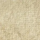 Off-white granular texture with irregular fiber particles, displaying a consistent warm tone and subtle tonal variations across a rough surface.