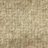 Granulated texture displaying beige, tan, and light brown tones with irregular rounded and elongated forms, featuring a vertical seam.