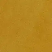 Golden-yellow granular texture with an uneven, organic surface; diffused lighting highlights subtle irregularities in the consistent tone.