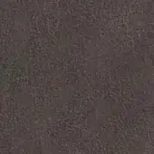 Brown textured surface displaying a granular, mottled pattern with diffuse lighting and an organic, uniformly rough feel.