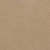 Neutral textured surface displaying a dense, irregular pattern in light beige tones with a matte, organic feel resembling plaster.