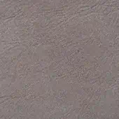 Distressed gray-brown texture with irregular lines, creases, and granular appearance; faint script reads "formitalia > nobч > corteccia".