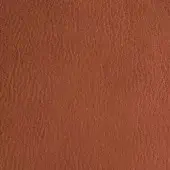 Reddish-brown texture sample with irregular grain, resembling distressed leather; matte terracotta hue with linear markings and subtle undulations.