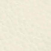 Formitalia Sport beige textile sample, finely woven ivory material with a consistent matte texture and neutral warm tone.