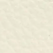Pale off-white granular texture, mottled surface with tonal variations, matte finish, and a dark speck in the upper right corner.