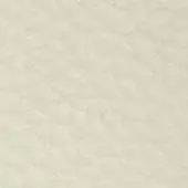 Cream textured surface with embedded gray text “formitalia > sport > 200 – 208 lamb”, granular appearance, even lighting, neutral tone.