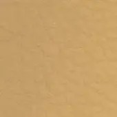 Beige textured surface with granular, mottled pattern and matte finish, resembling fine sand or stucco, displaying an earthy, natural composition.