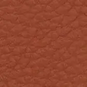 Reddish-brown pebble grain texture, likely leather, displays a matte finish with tonal variations and an organic, slightly uneven surface.