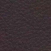 Brown textured surface with repeating leaf-like pattern, matte finish, and subtle tonal variations; possibly fabric or embossed leather.