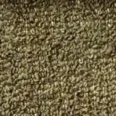 Dense swarm of small brown insects covering the frame, creating a uniform textured surface with intricate detail and even lighting.