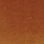 Orange granular texture with tonal variation, displaying a densely packed, irregular surface and diffused lighting across the composition.
